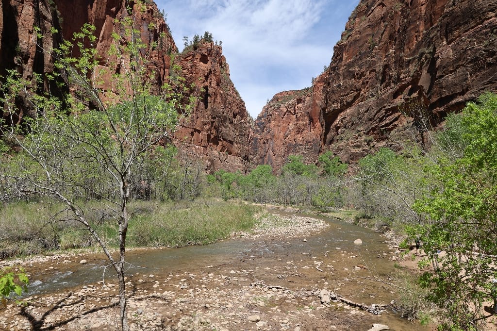 Amerika USA rondreis Las Vegas Death Valley Zion NP Grand Canyon Bryce Canyon Page Route66 Selfdrive Never Stop Travelling