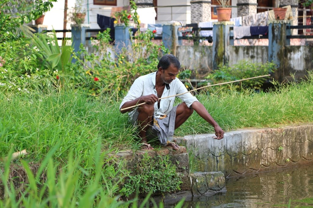 Rondreis India Maatwerkreizen Never Stop Travelling Delhi Mumbai Udaipur Taj Mahal Agra Jaipur Kerala Jodhpur Avontuurlijk Azië