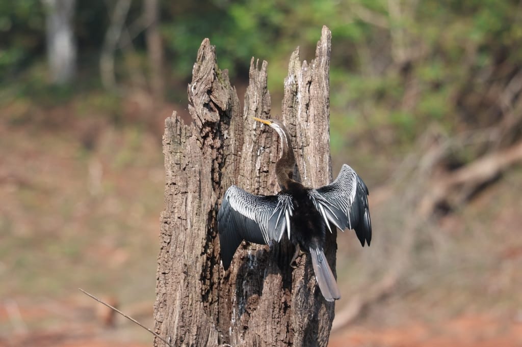 Rondreis India Maatwerkreizen Never Stop Travelling Delhi Mumbai Udaipur Taj Mahal Agra Jaipur Kerala Jodhpur Avontuurlijk Azië