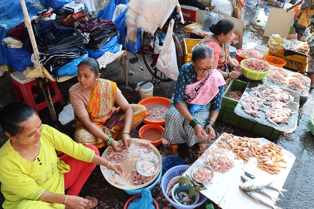 Rondreis India Maatwerkreizen Never Stop Travelling Delhi Mumbai Udaipur Taj Mahal Agra Jaipur Kerala Jodhpur Avontuurlijk Azië