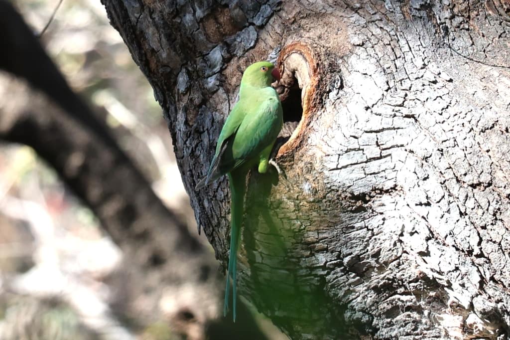 Rondreis India Maatwerkreizen Never Stop Travelling Delhi Mumbai Udaipur Taj Mahal Agra Jaipur Kerala Jodhpur