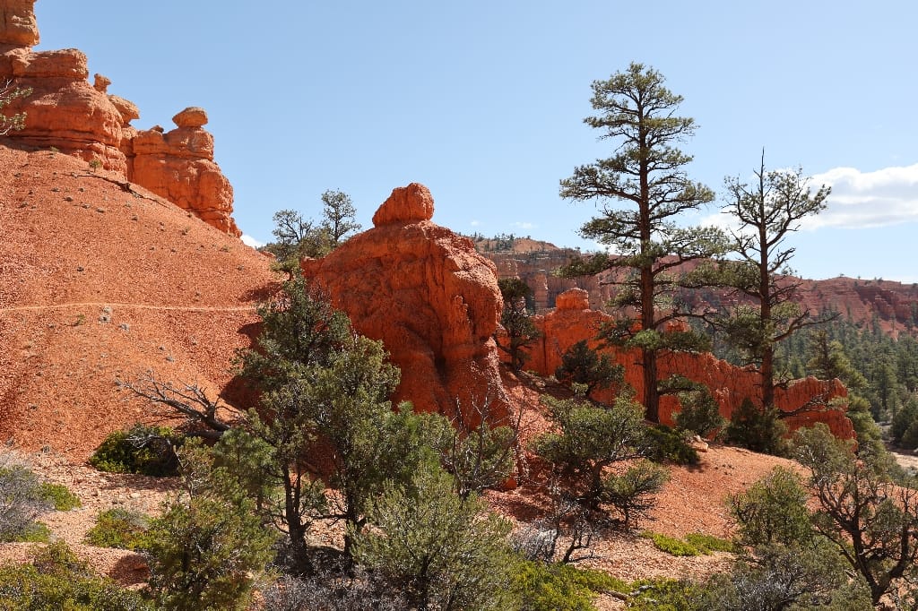 Amerika USA rondreis Las Vegas Death Valley Zion NP Grand Canyon Bryce Canyon Page Route66 Selfdrive Never Stop Travelling