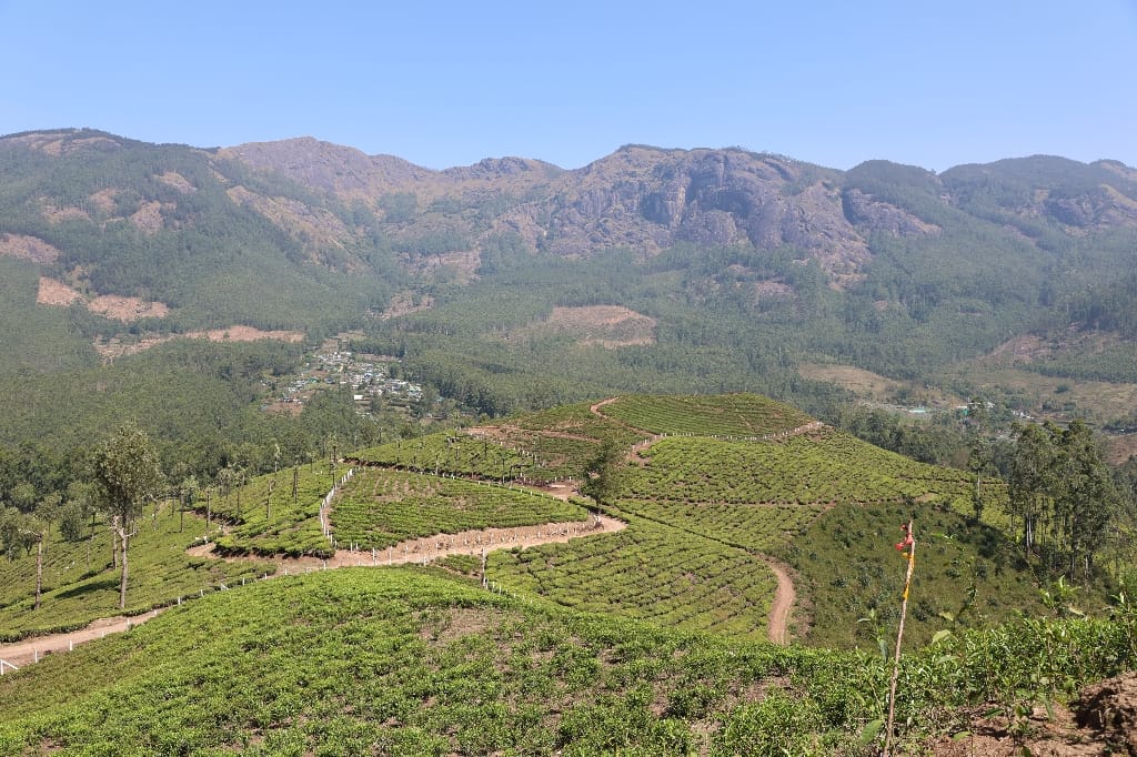 Rondreis India Maatwerkreizen Never Stop Travelling Delhi Mumbai Udaipur Taj Mahal Agra Jaipur Kerala Jodhpur Avontuurlijk Azië