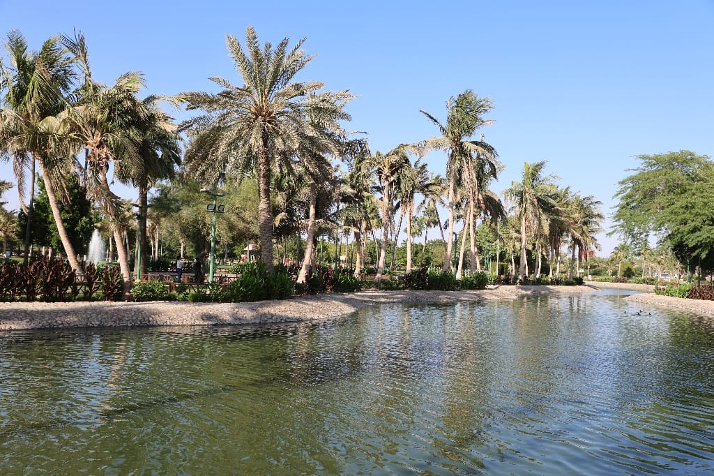 Saoedi Arabië Rondreis Maatwerkreizen Yanbu