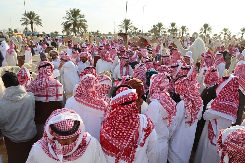 Saoedi Arabië Rondreis Maatwerkreizen Buraidah Kamelenmarkt