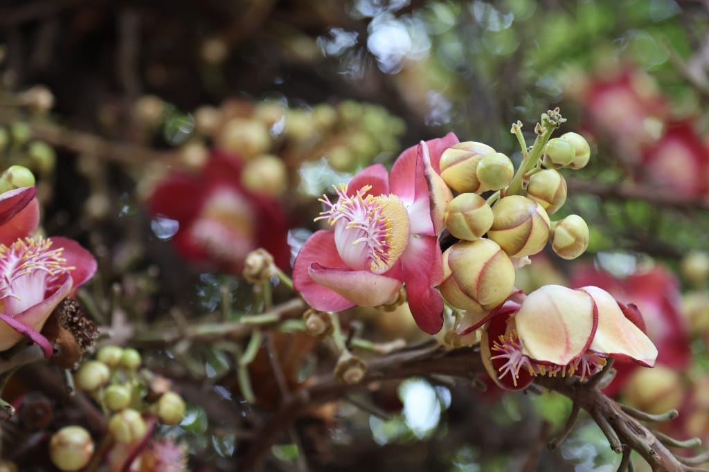 Rondreis India Maatwerkreizen Never Stop Travelling Delhi Mumbai Udaipur Taj Mahal Agra Jaipur Kerala Jodhpur Avontuurlijk Azië