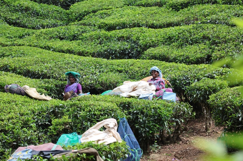 Rondreis India Maatwerkreizen Never Stop Travelling Delhi Mumbai Udaipur Taj Mahal Agra Jaipur Kerala Jodhpur Avontuurlijk Azië