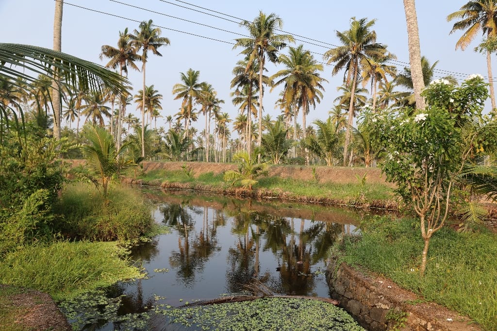 Rondreis India Maatwerkreizen Never Stop Travelling Delhi Mumbai Udaipur Taj Mahal Agra Jaipur Kerala Jodhpur Avontuurlijk Azië