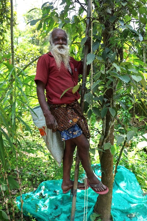 Rondreis India Maatwerkreizen Never Stop Travelling Delhi Mumbai Udaipur Taj Mahal Agra Jaipur Kerala Jodhpur Avontuurlijk Azië